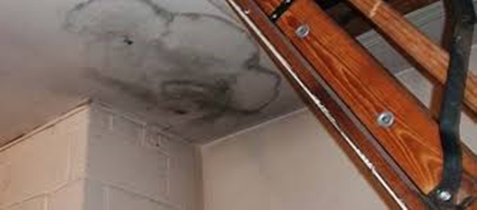 مؤسسة كشف تسربات المياه بالمدينة المنورة