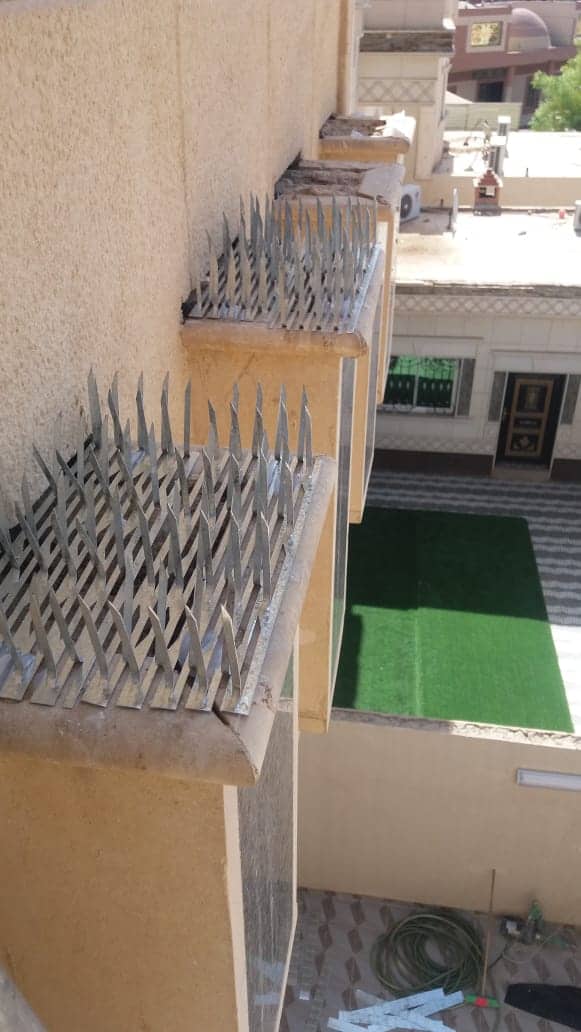 مؤسسة مكافحة الحمام وسط جدة 