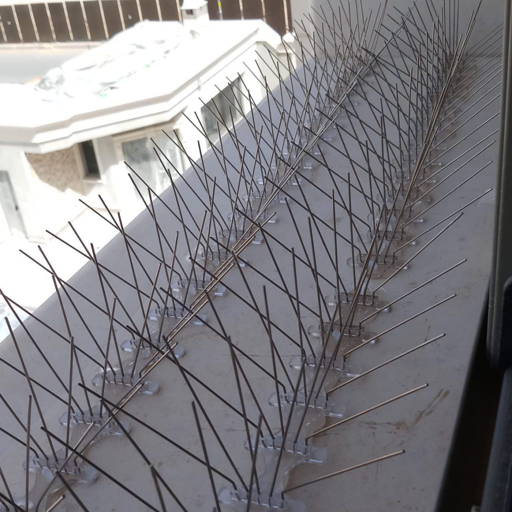مؤسسة مكافحة الحمام شرق جدة